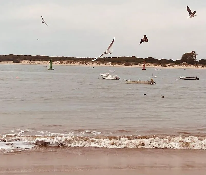 Al Sur Del Sur Villa Sanlucar de Barrameda Holiday home